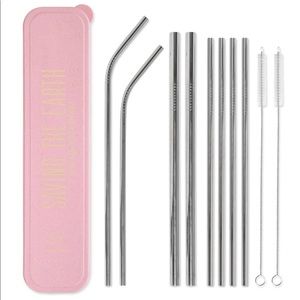 Saving The Earth Stainless Steel Straw Set